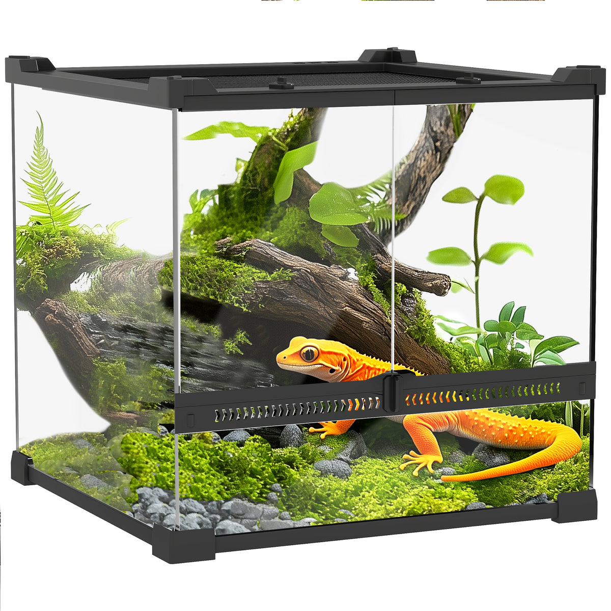 PawHut Glas-Terrarium für Reptilien, erhöhter & wasserdichter Boden, Knopfschloss