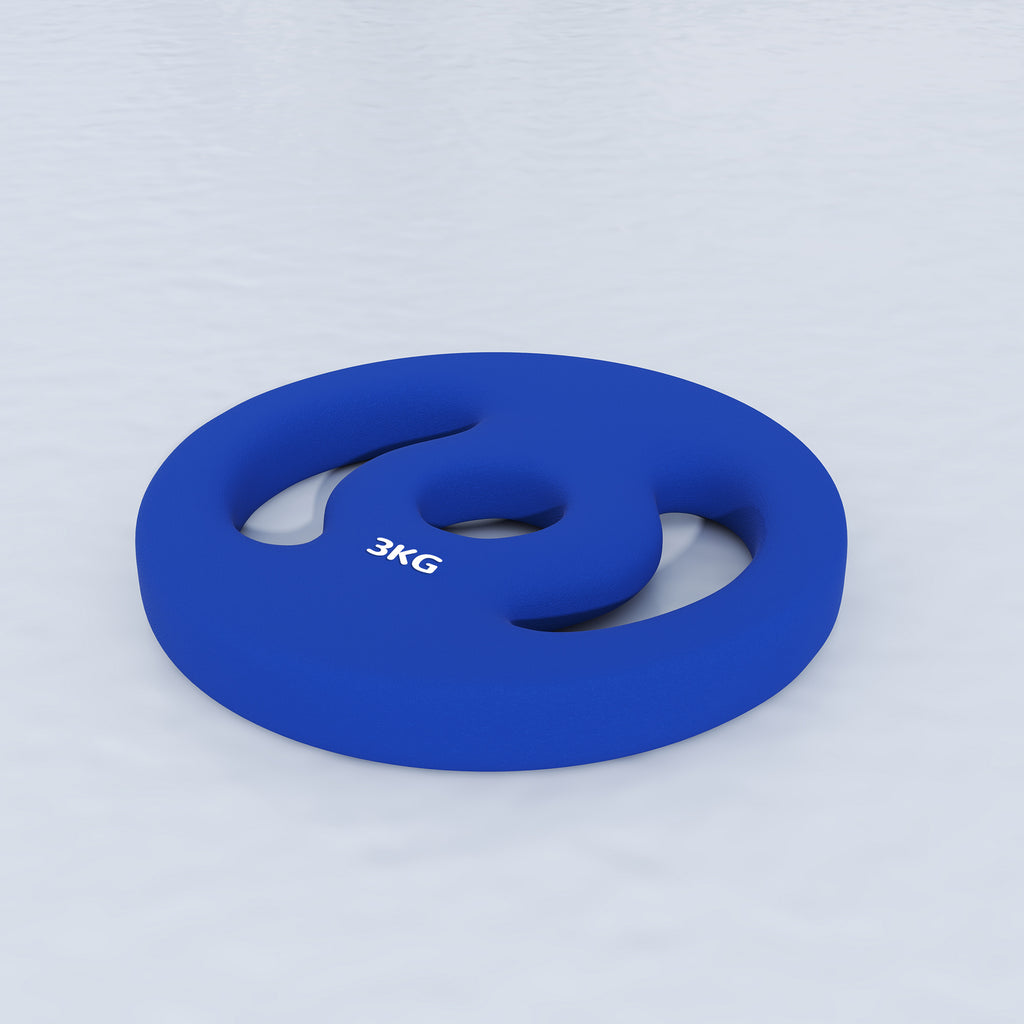 SPORTNOW 2er-Pack 3 kg Hantelscheiben für 2,5 cm Stangen mit einfachen Griffen aus Metall, Blau