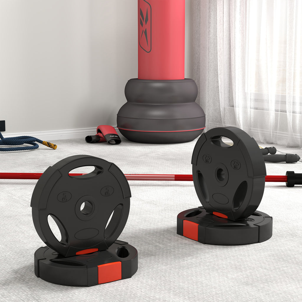 SPORTNOW 4er Gewichtsplatten-Set für Training, Fitnessstudio, Heimtraining, Stärke-Training, 2 x 7,5 kg und 2 x 5 kg, Schwarz