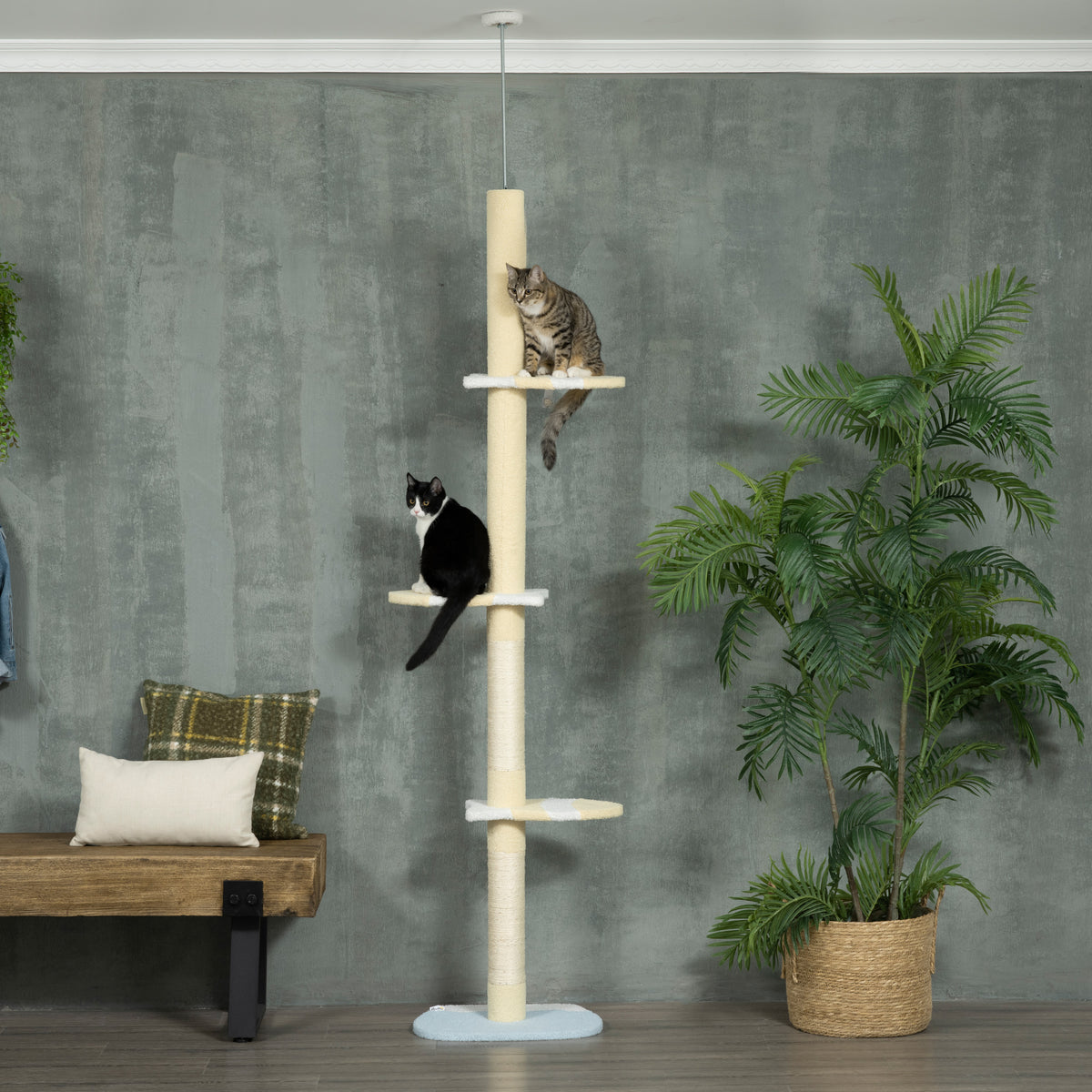 PawHut Höhenverstellbarer Kratzbaum, Anti-Rutsch, Sisalseil-Pfosten, 220-260H x 47L x 34W cm, Gelb/Weiß/Blau