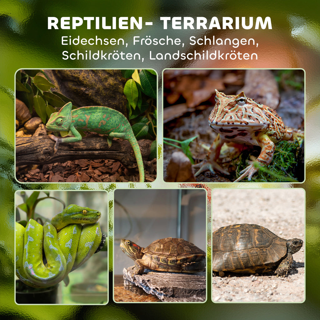 PawHut Glas-Terrarium für Reptilien, erhöhter & wasserdichter Boden, Knopfschloss