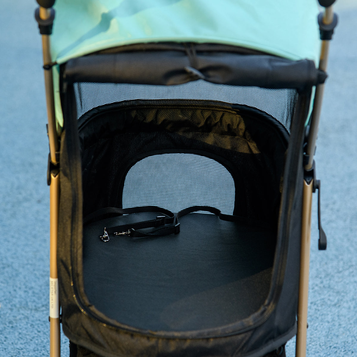PawHut Hundekinderwagen für kleine Hunde zusammenklappbar mit Regenabdeckung, Korb und integrierter Leine, Grün