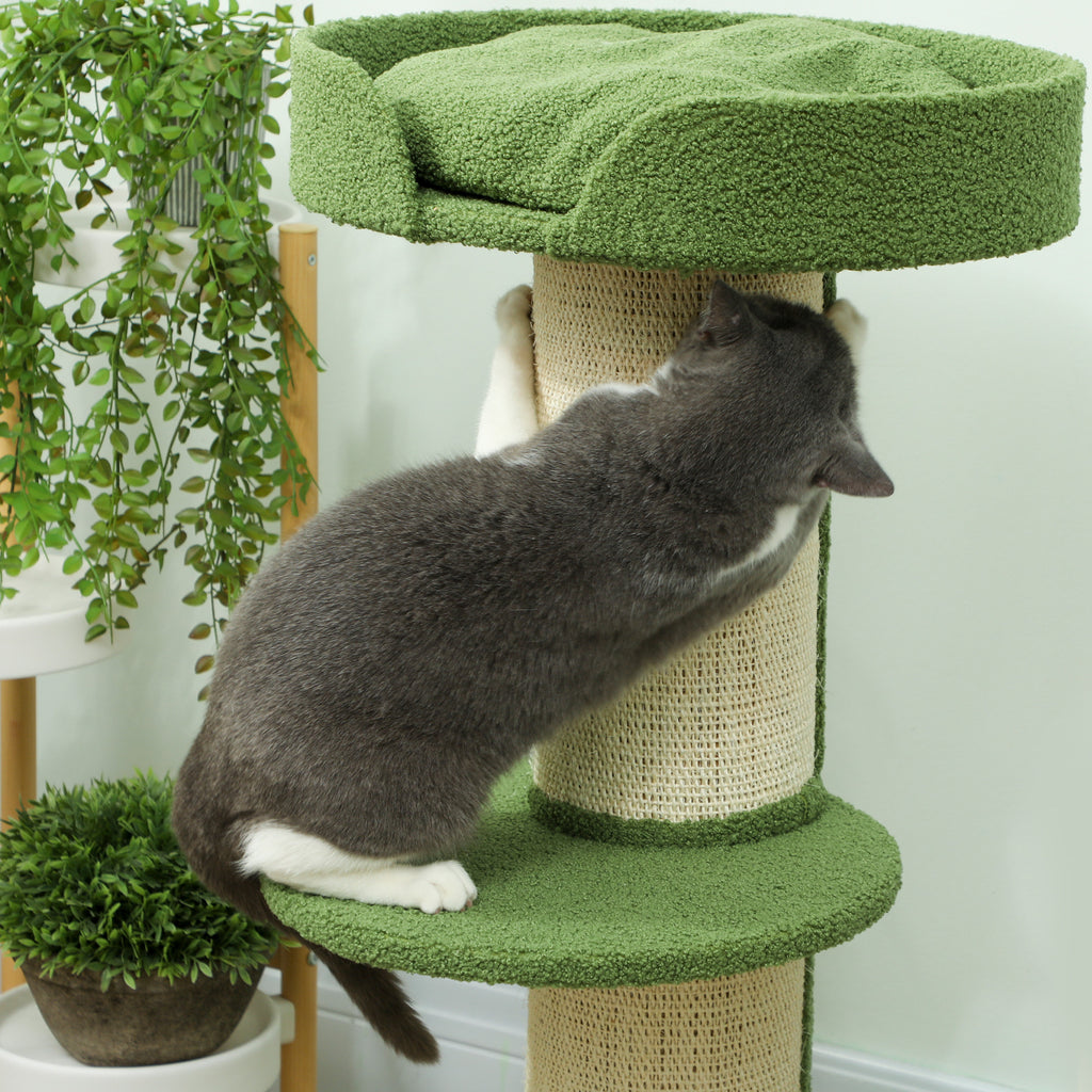 PawHut Katzenbaum  91cm Spielbaum mit Katzenbett, Plattform Lammwolle Grün