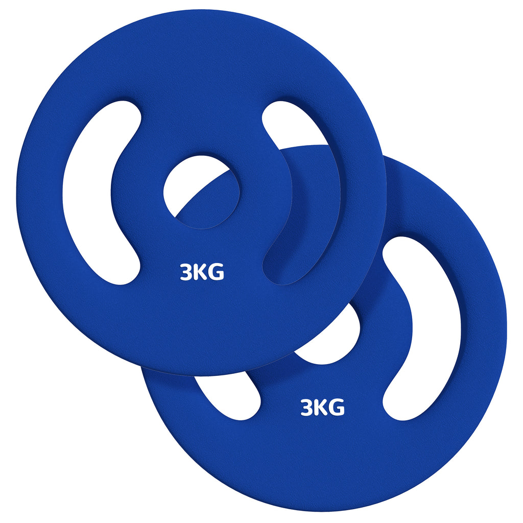 SPORTNOW 2er-Pack 3 kg Hantelscheiben für 2,5 cm Stangen mit einfachen Griffen aus Metall, Blau
